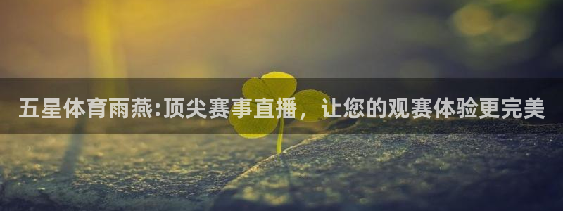 五星体育雨燕:顶尖赛事直播，让您的观赛体验更完美