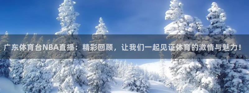 广东体育台NBA直播：精彩回顾，让我们一起见证体育的激情与魅力！