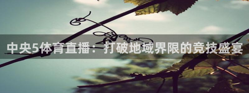 中央5体育直播：打破地域界限的竞技盛宴