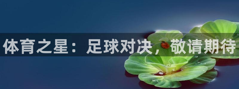 体育之星：足球对决，敬请期待